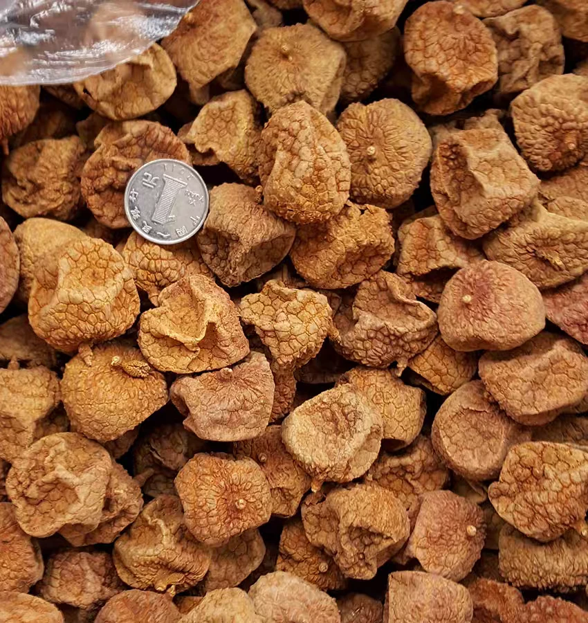 新货福建特产莆田新鲜大果扁荔枝干肉厚甜糯核小泡茶5斤一箱批发