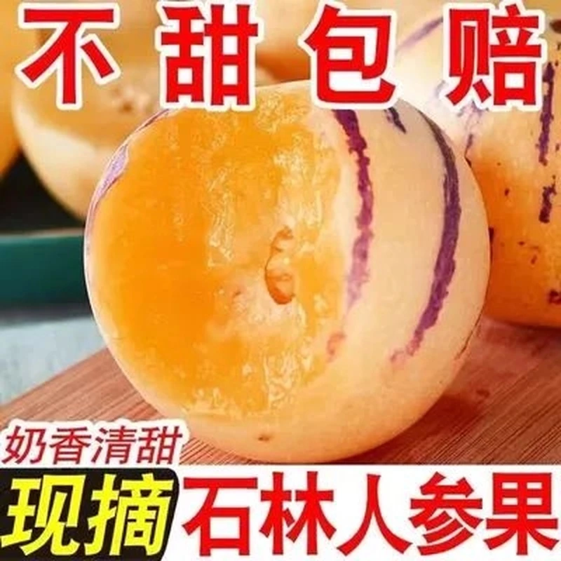 【树上熟】云南石林人参果黄肉大圆果5箱应季新鲜富硒低糖水果