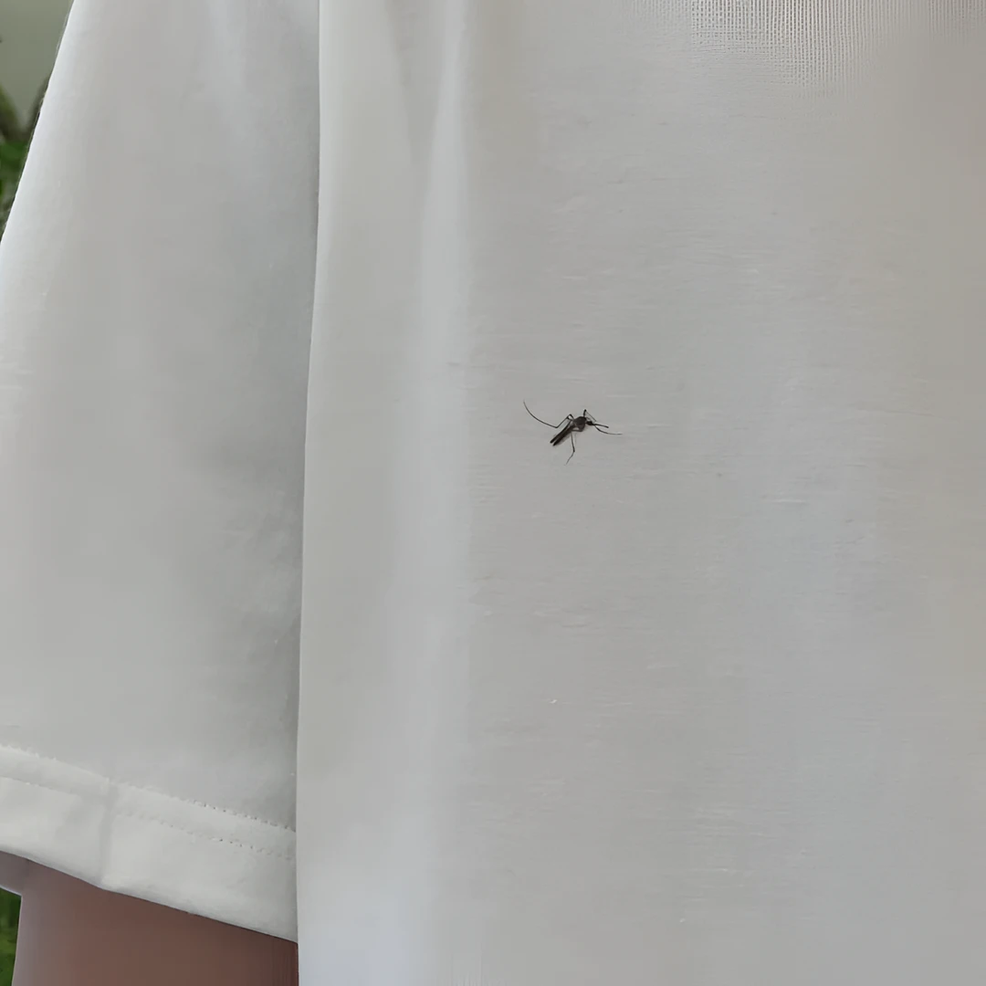 【星一】港风美式复古纯棉t恤男女简约蚊子印花欧美潮牌百搭潮流