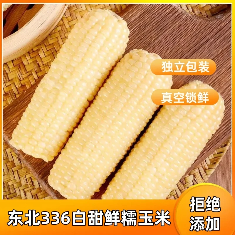 【试吃一根】东北黑土白糯玉米10根/整箱包邮240g-300g每根香甜软糯