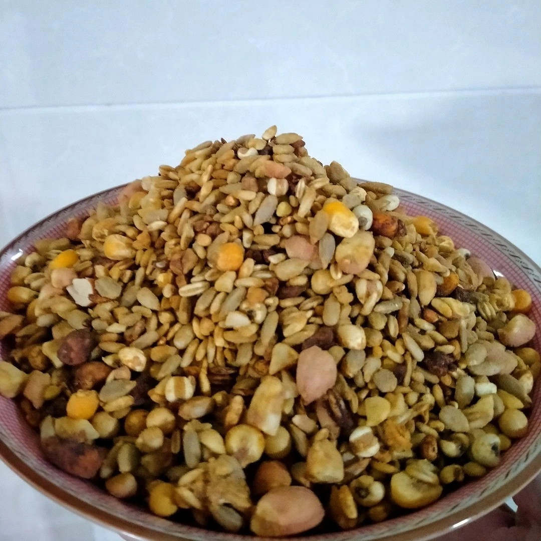 VF原始森林鹦鹉五谷鸡蛋粮