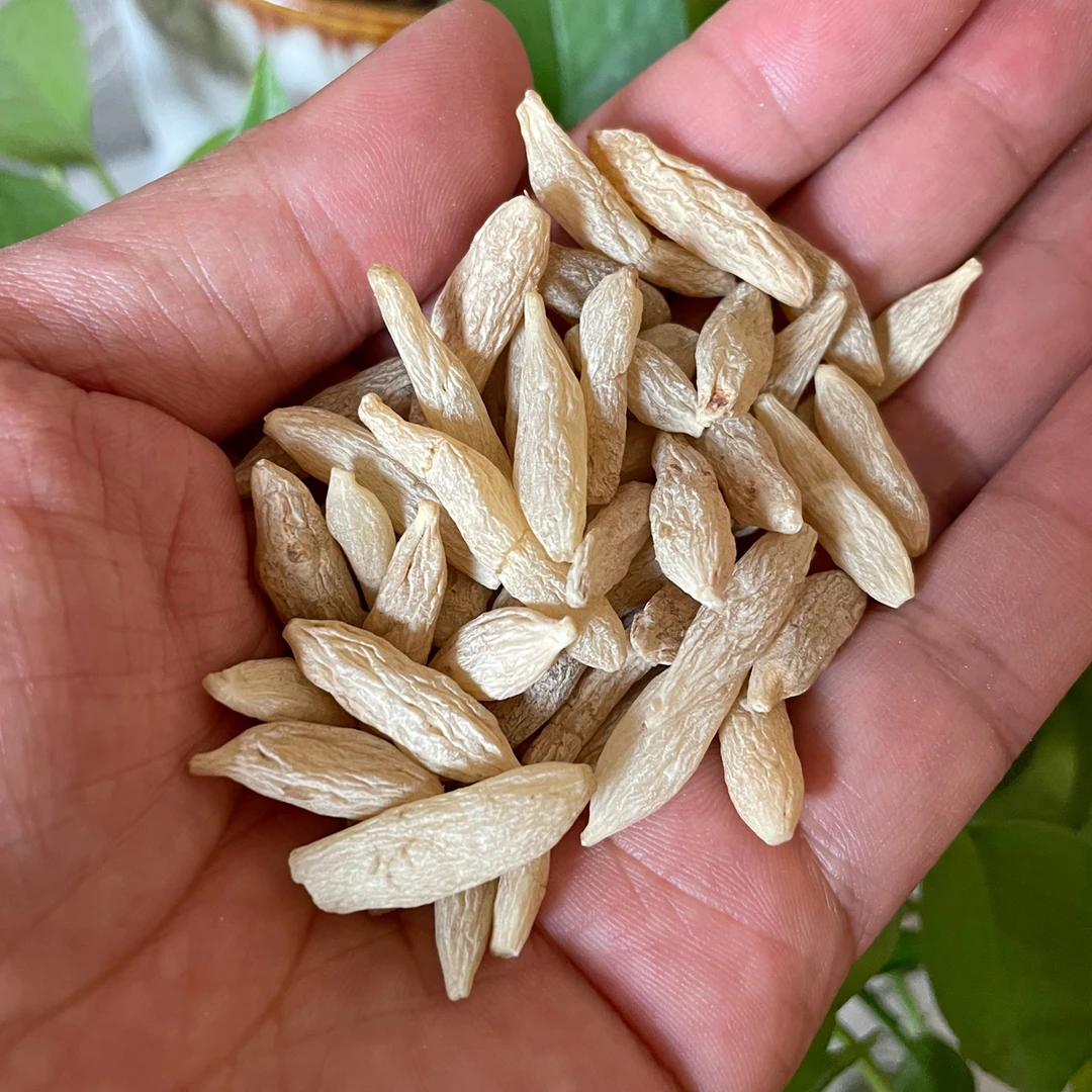 【川麦冬】山货四川饱满麦冬野生中药材平时搭配干山药滋补泡水无硫