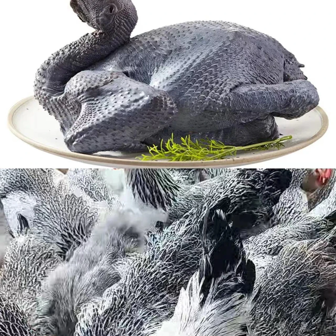 云南土鸡阉鸡冰鲜打包发货