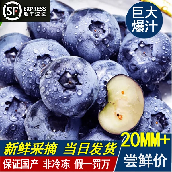 蓝莓20mm果王饱满爽口爆汁孕婴辅食100g/盒新鲜采摘当日发顺丰