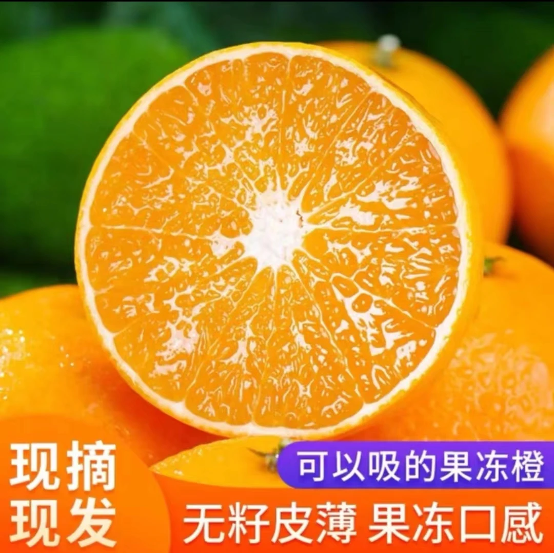 【果冻橙】正宗四川爱暖果冻橙皮薄多汁柑橘现摘香甜自然种植大果橙
