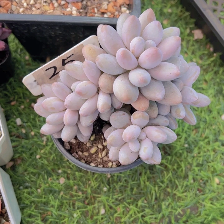 健健康康平平安安