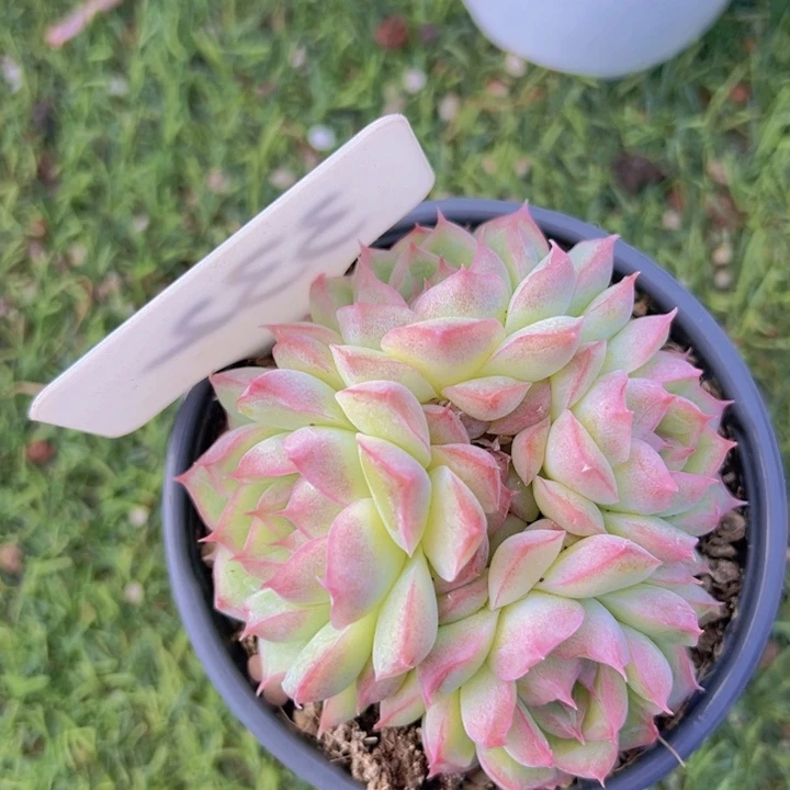 健健康康平平安安