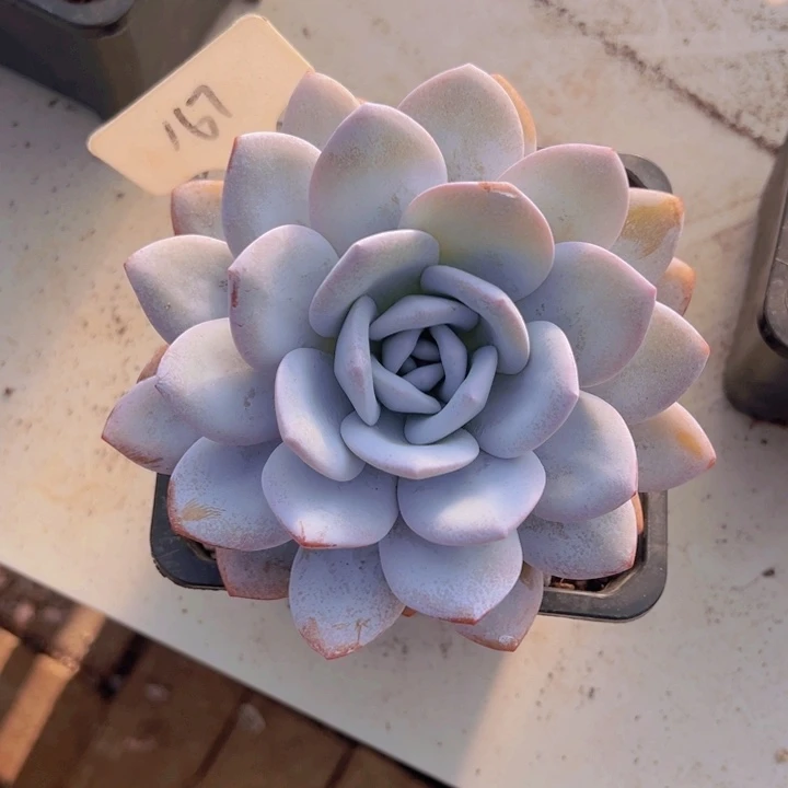 健健康康平平安安