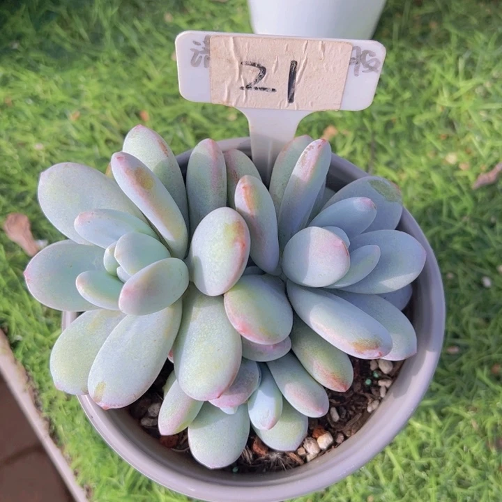 健健康康平平安安