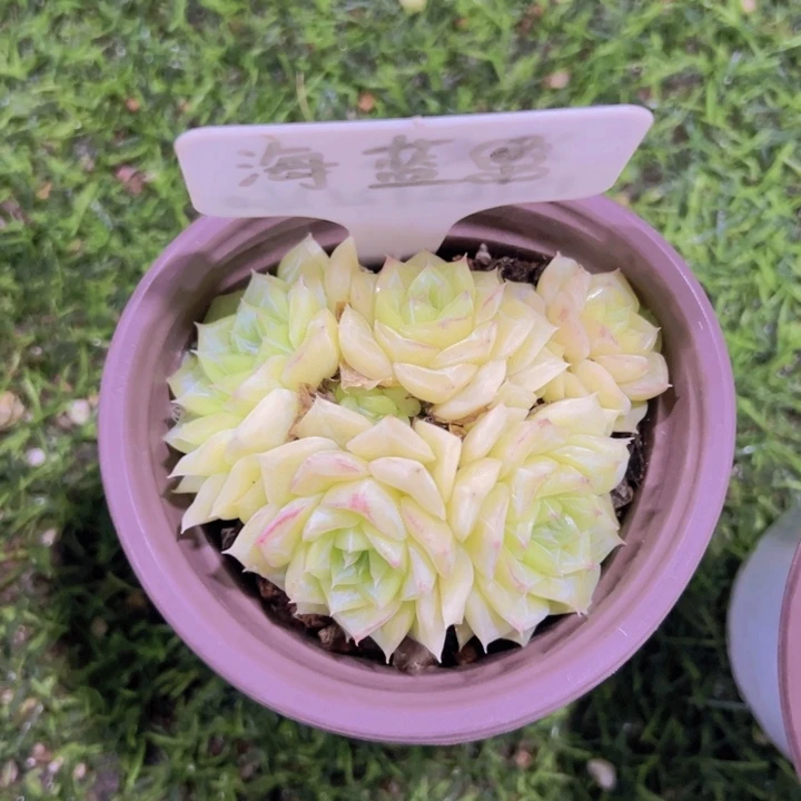 健健康康平平安安