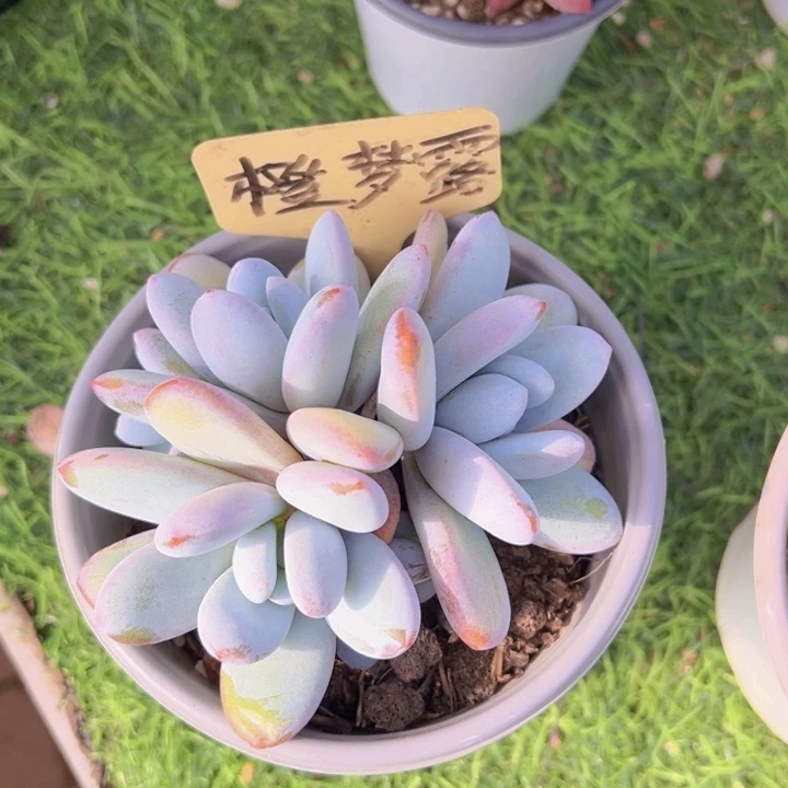 健健康康平平安安