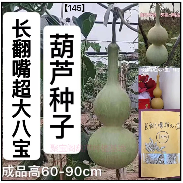 长翻嘴超大八宝葫芦种子特小文玩小三挺盆栽八宝巨型小杆子葫芦籽
