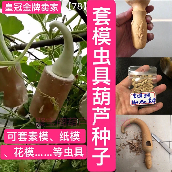 套模虫具葫芦种子套膜为素模棒子鸡心纸模花模本长超大特小葫芦籽