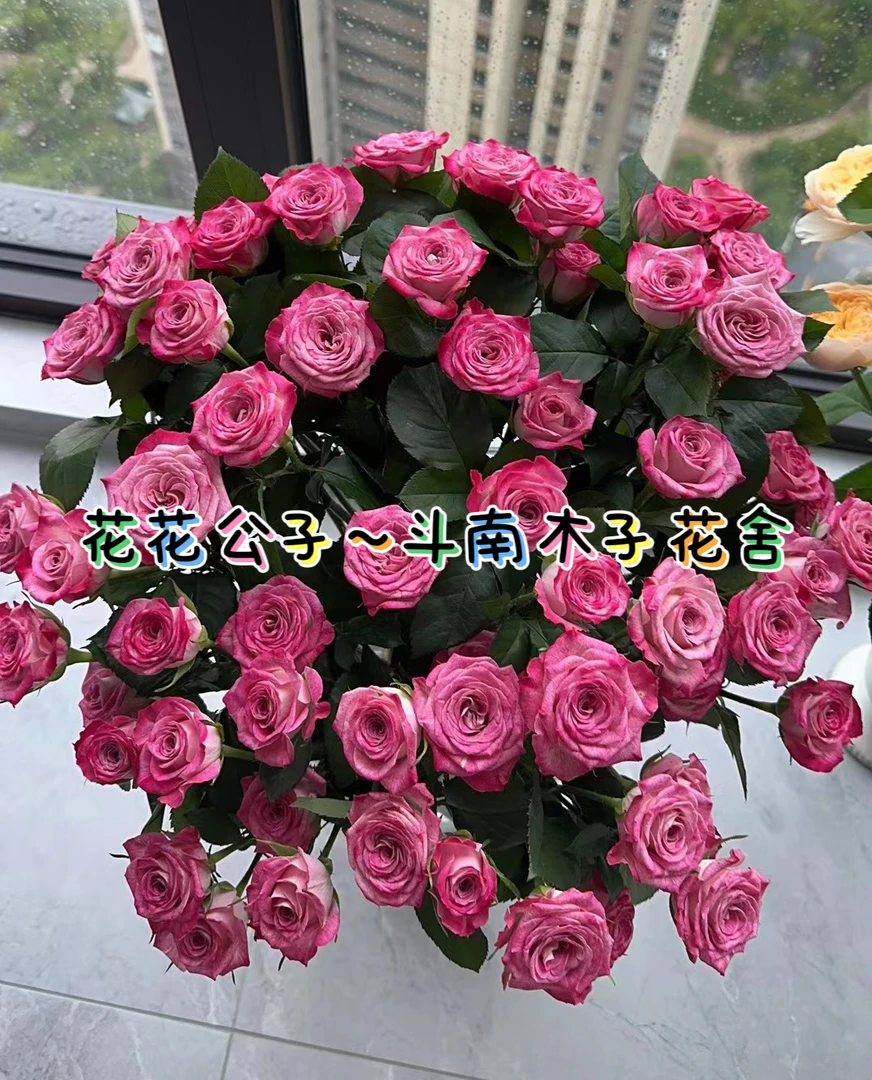 [花公子]玫瑰一单不发货！！