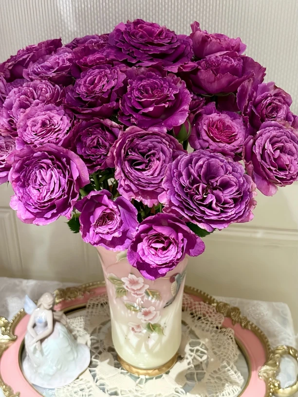 [凝夜幽兰]玫瑰一单不发货！！