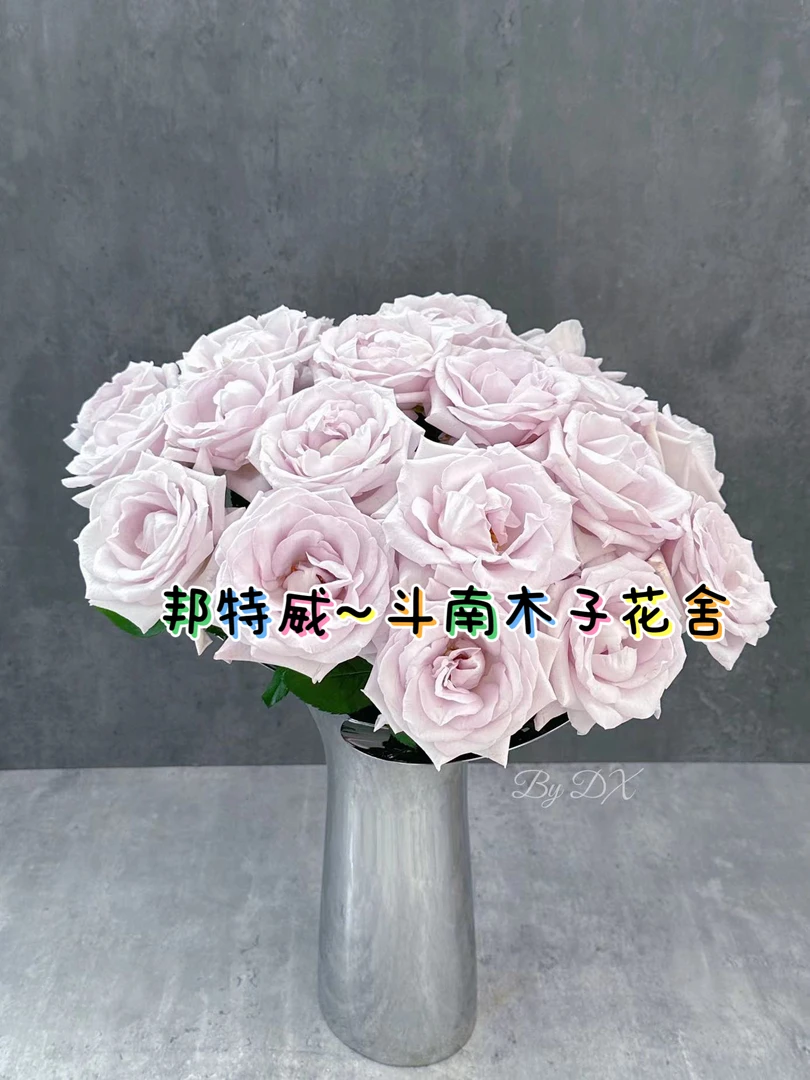 [邦特威]玫瑰一单不发货！！