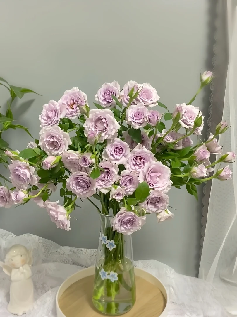 [紫雾公主]玫瑰一单不发货！！