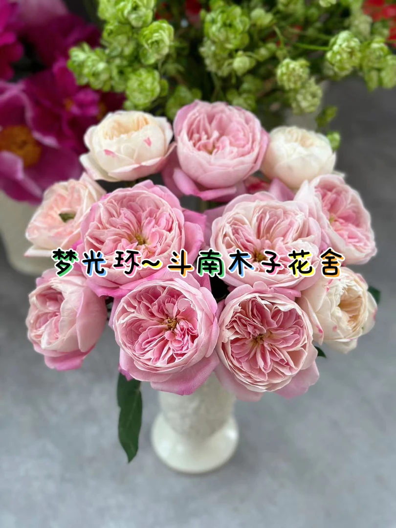 [单头梦光环]玫瑰一单不包邮！！