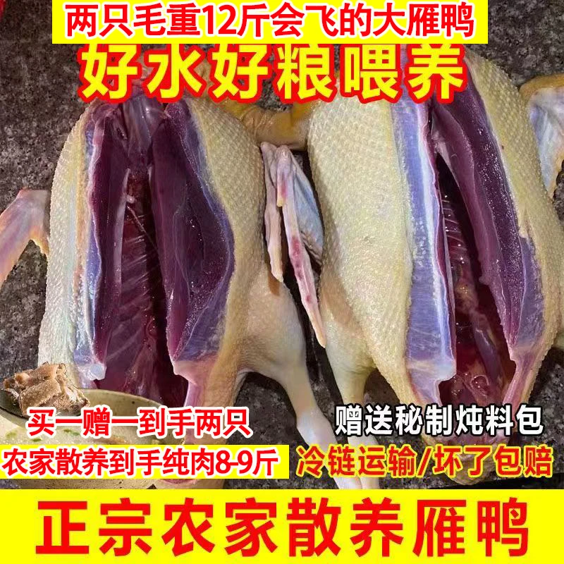买一送一【2只12斤大雁鸭毛重】整只200天带掌翅大雁鸭杀完重8-9斤L