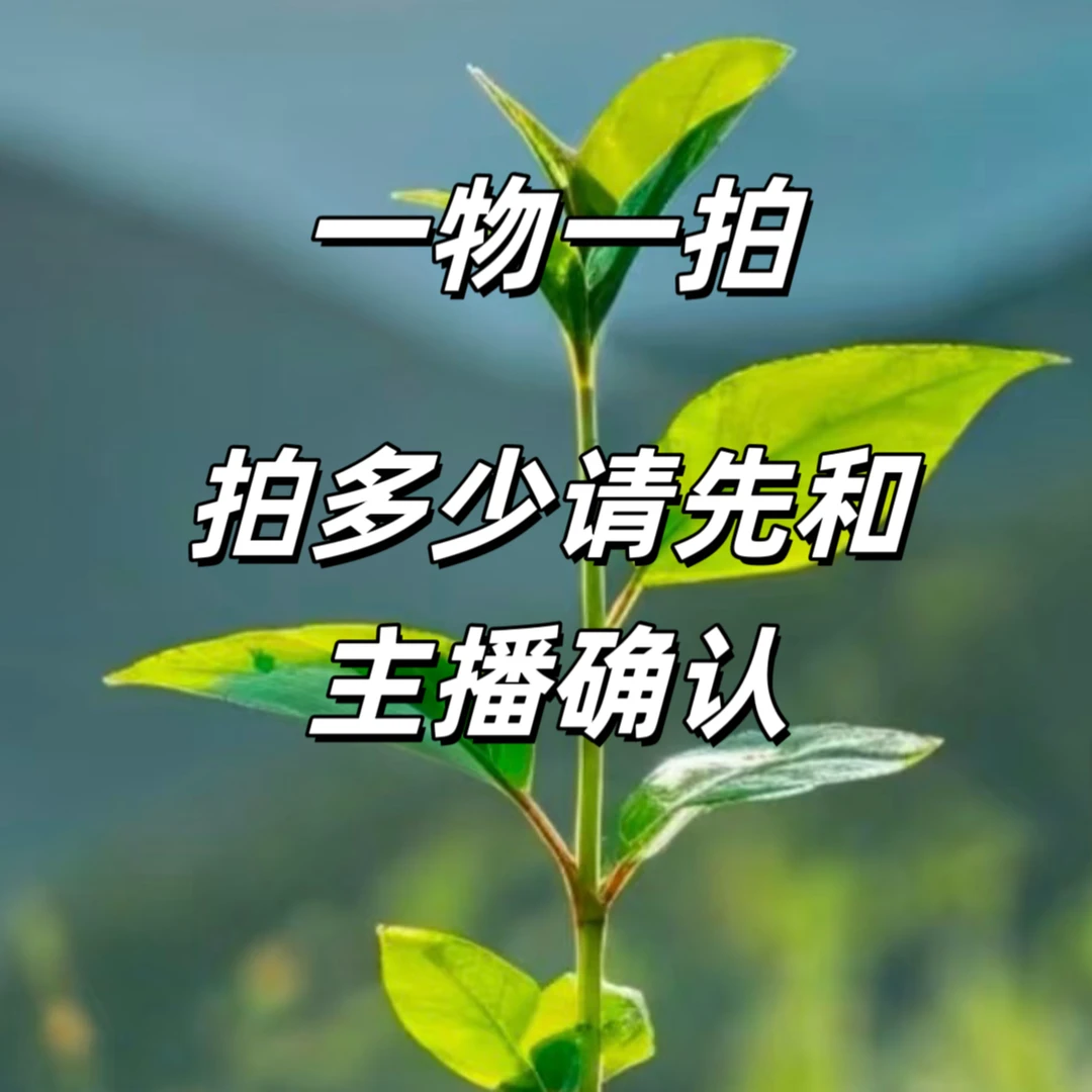 一物一拍 所见即所得