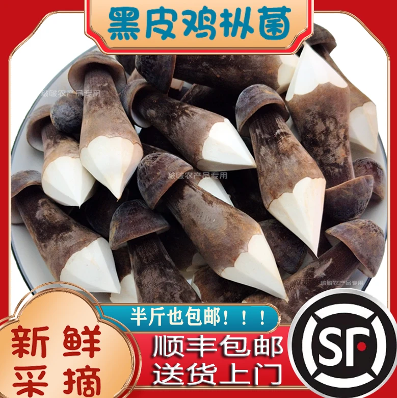 优质新鲜黑皮鸡枞菌顺丰包邮会客煲汤火锅餐饮酒店食材产地直供