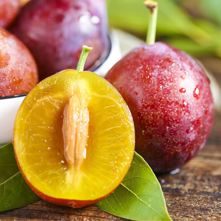 【新疆法兰西大西梅】好吃西梅4斤毛重食用新鲜西梅新鲜水果