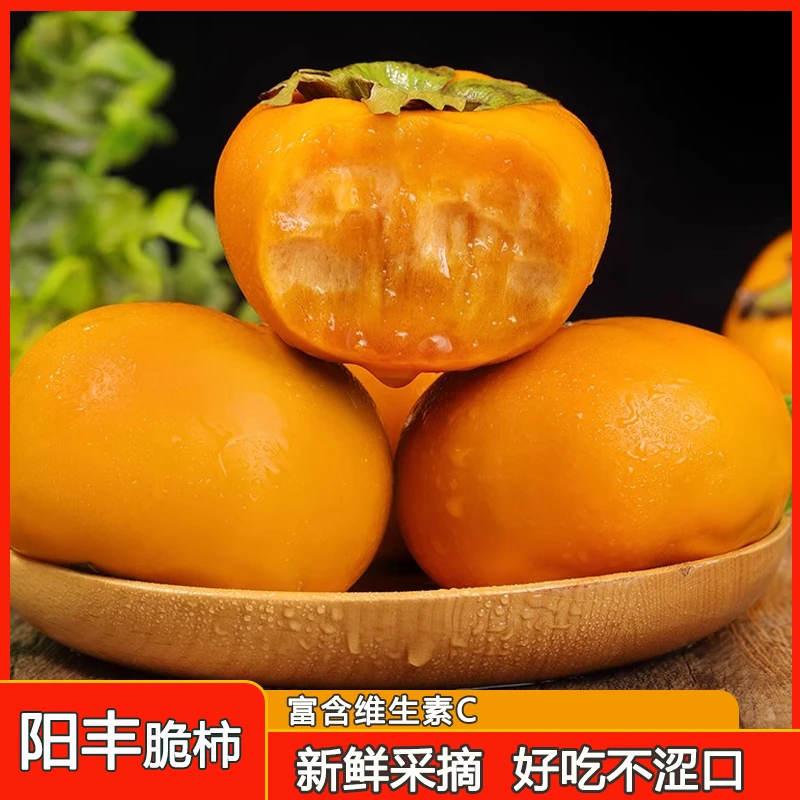 桐庄园甜脆柿子阳丰脆柿3斤装巧克力柿子冰糖心甜柿子无核硬柿子