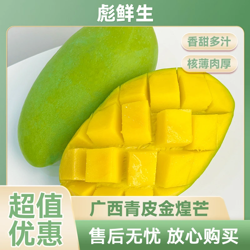 【催熟食用】广西青皮金煌芒净重4.5-5斤水果应季现摘芒果坏果包赔H