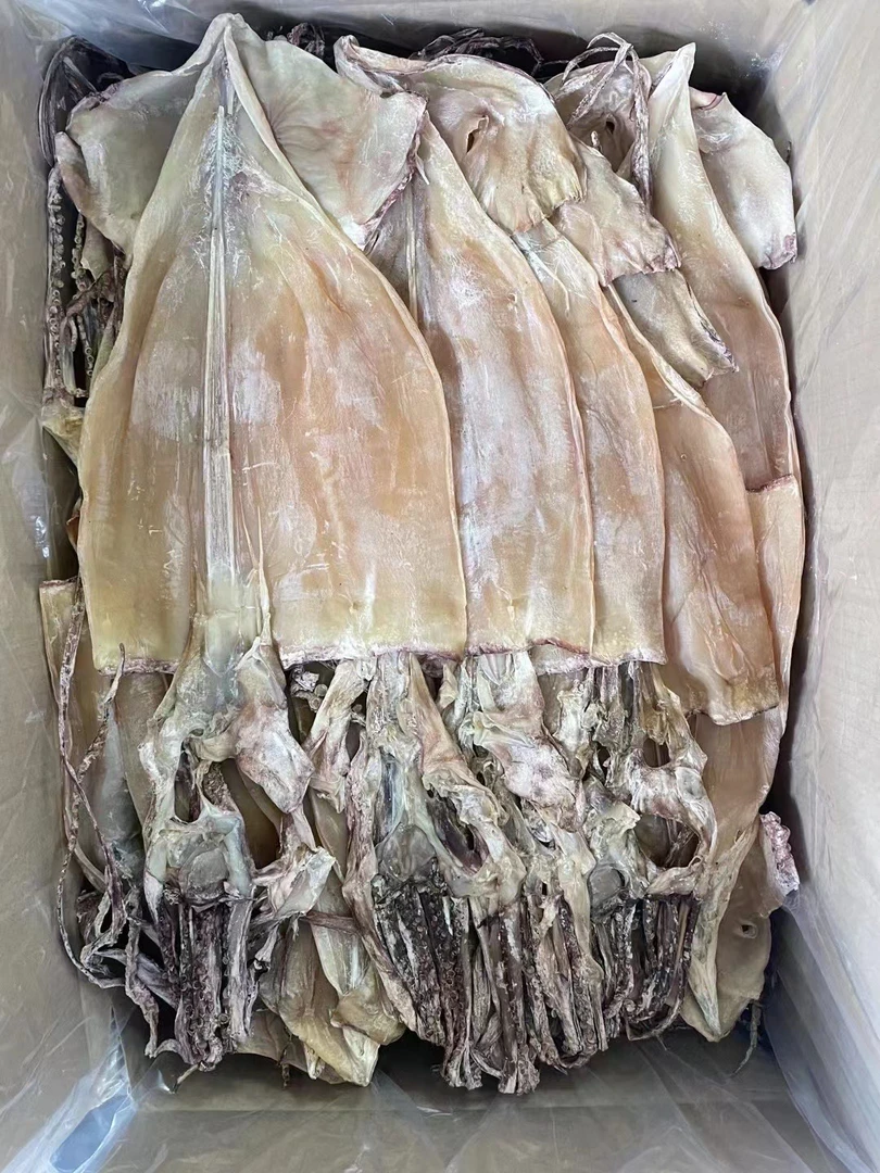 鱿鱼干  带头大鱿鱼干深海鱿鱼