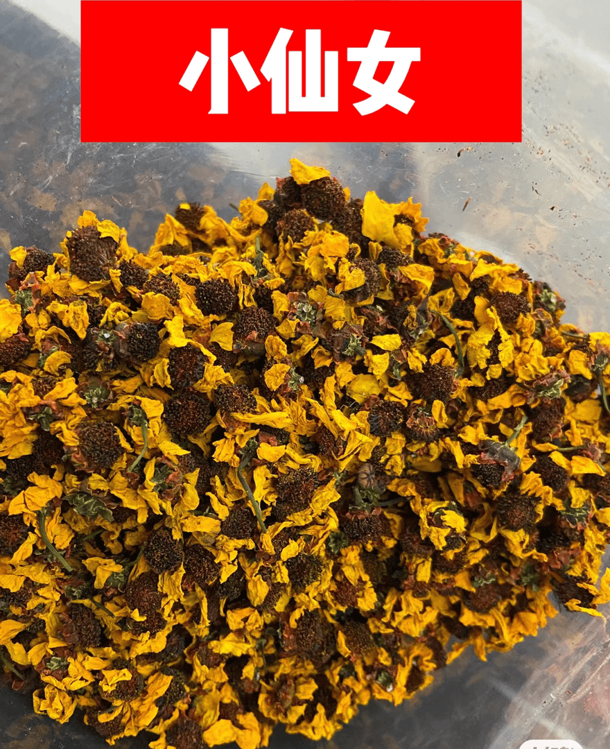 鱼 西藏 冰山雪菊