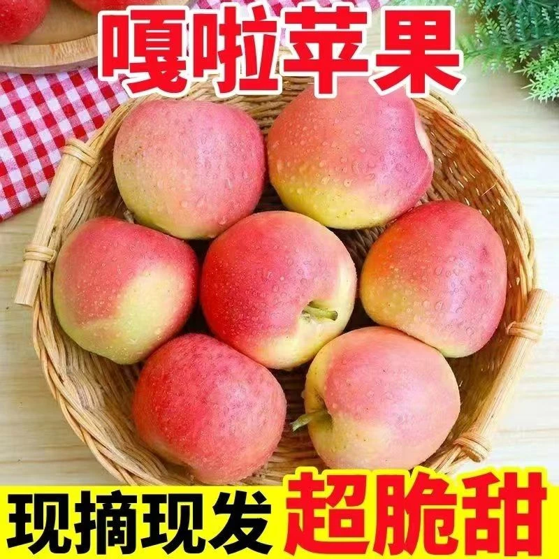 正宗新鲜嘎啦苹果2024应当季水果陕西青红富士脆甜苹果整箱包邮