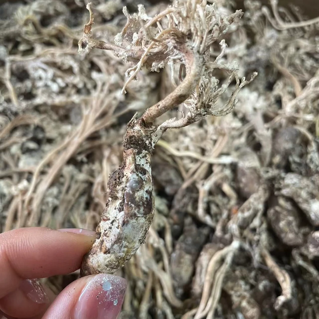 【山货】现收农家干货特产食用农产品————220——————