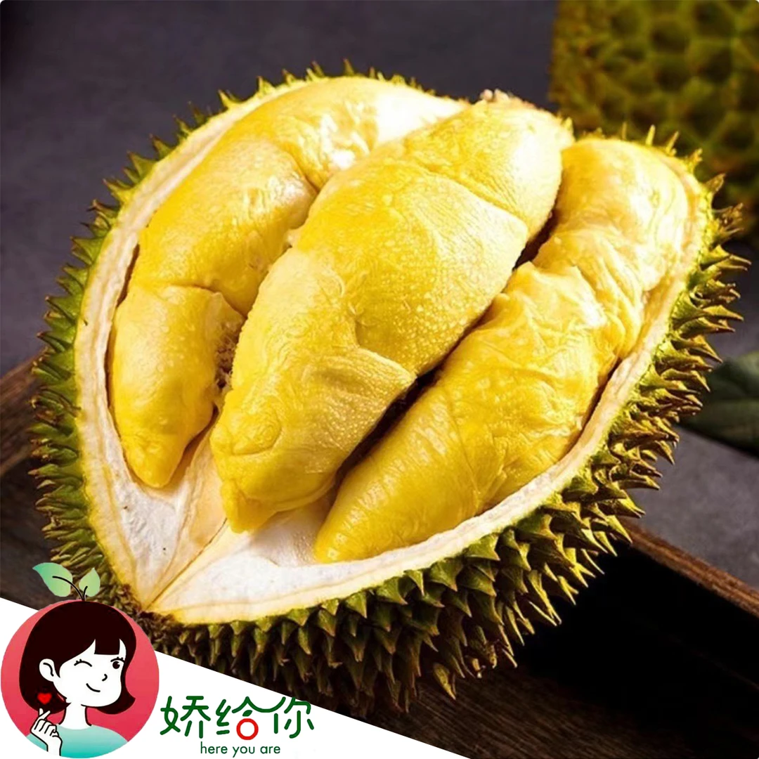 【顺丰包邮】正宗 泰国小马哥金枕榴莲  鲜果小核品种1粒 装2-11斤