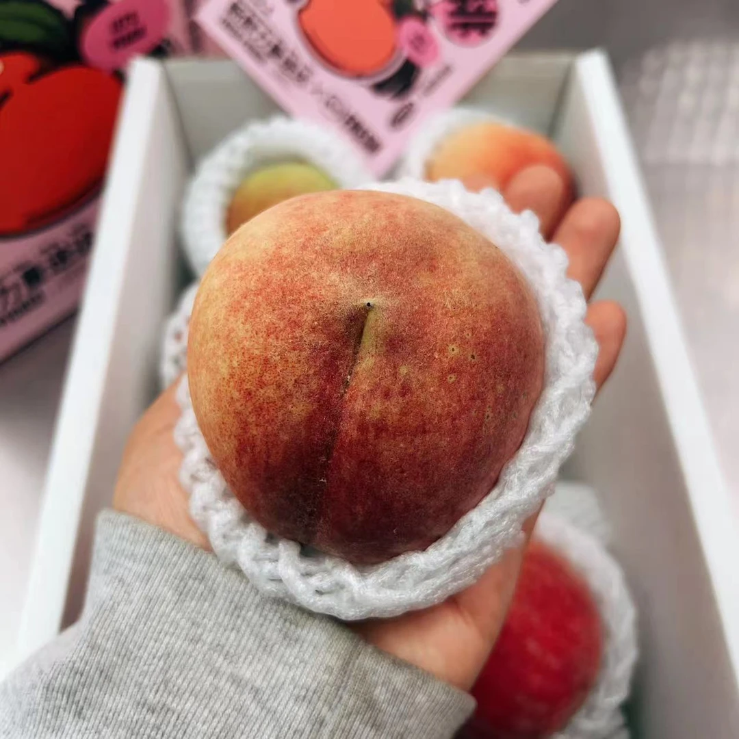 【顺丰包邮】当季精选绿先尝硬脆毛桃爆甜多汁x爽口紧实3.5斤礼盒装