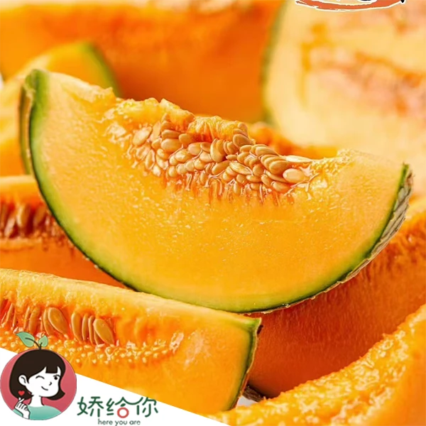 【顺丰包邮】当季限量红肉蜜瓜粗网纹软糯香甜蜜瓜3粒/6粒装