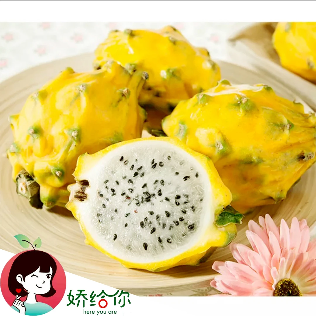 【顺丰包邮】当季精选燕窝果大果 清甜爽口精美礼盒5粒约2.5斤左右