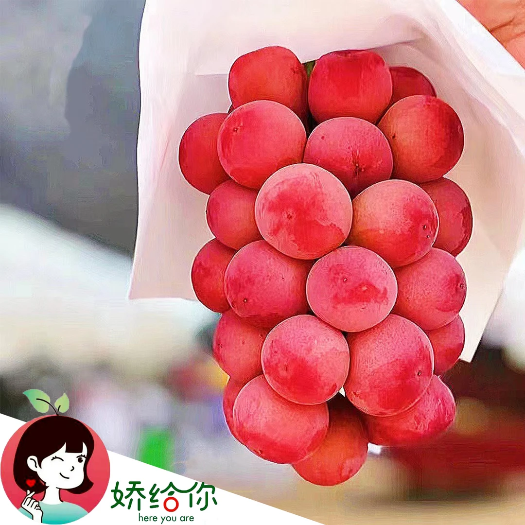 【顺丰包邮】季节限量妮娜皇后葡萄高端品质自带酒香3串 约4斤
