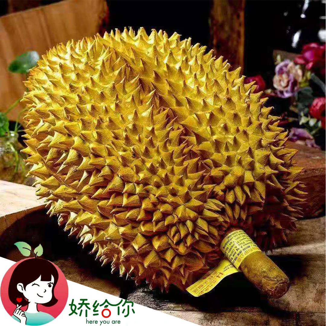 【顺丰包邮】正宗泰国小马哥金枕榴莲鲜果小核品种1粒装 坏果包赔
