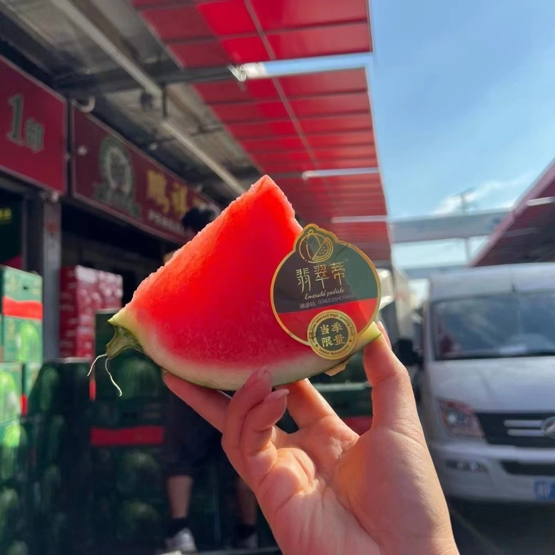 【娇姐甄选】海南当季精选翡翠帝西瓜1粒装约5-10斤新鲜爆汁