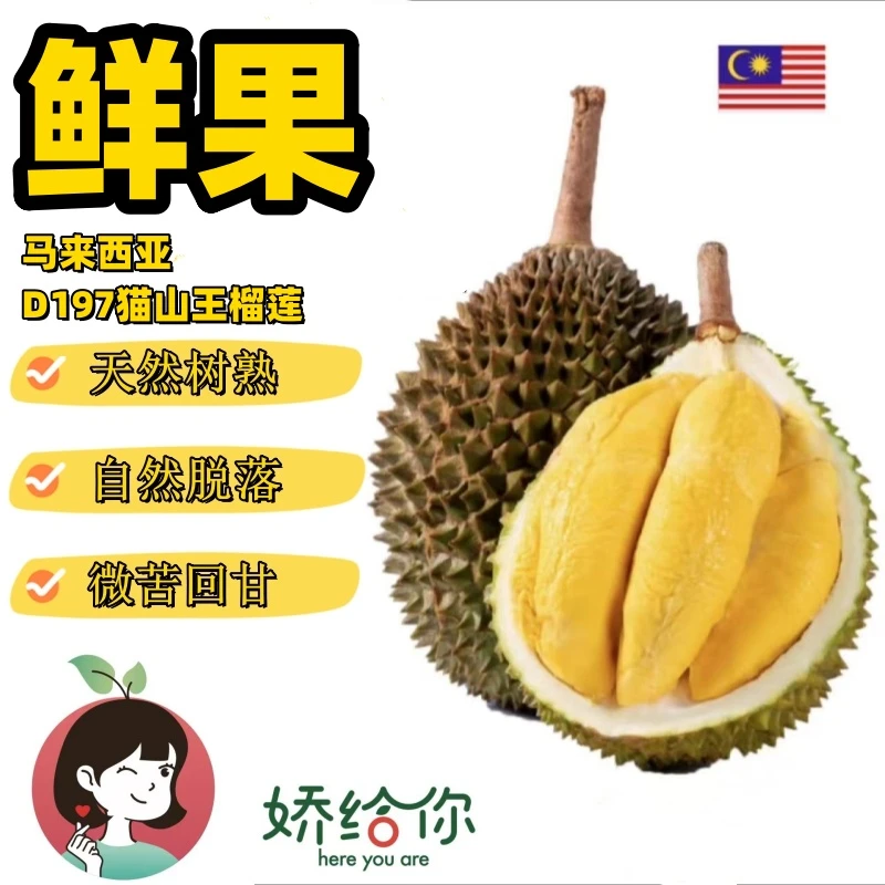 【顺丰包邮】马来西亚猫山王鲜果榴莲软糯拉丝微苦回甘，介意慎拍