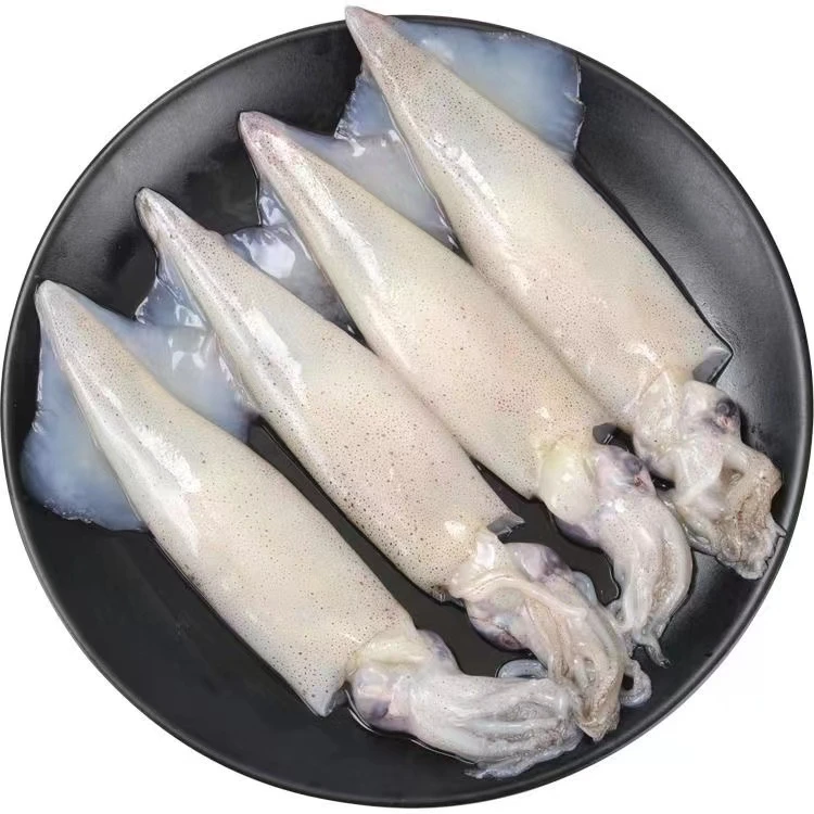 青岛丰收季毕管鱼4斤新鲜笔管蛸海兔籽乌小乌贼鱿鱼海鲜速冻发货