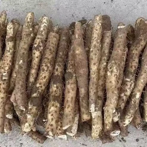 贵州特产山里现挖现发新鲜山药铁棍山药口感细腻软糯蒸煮炒炖食用