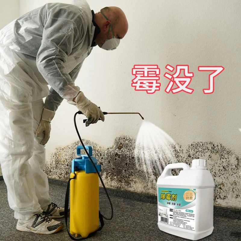 墙面除霉剂家用去霉点霉斑屋顶白墙天花板发霉防霉除霉菌剂大容量