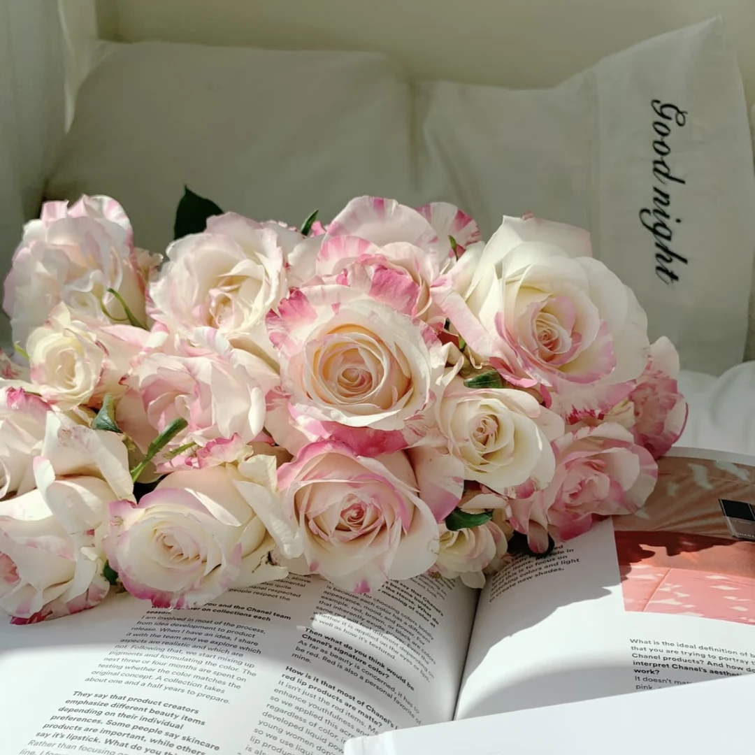 【半岛花园】多头霓裳 稀有小众玫瑰 云南基地直发两单顺丰