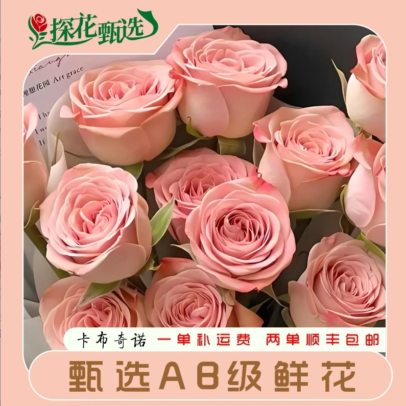 【探花甄选】卡布奇诺 玫瑰 云南基地直发 购满两单起发 顺丰冷链