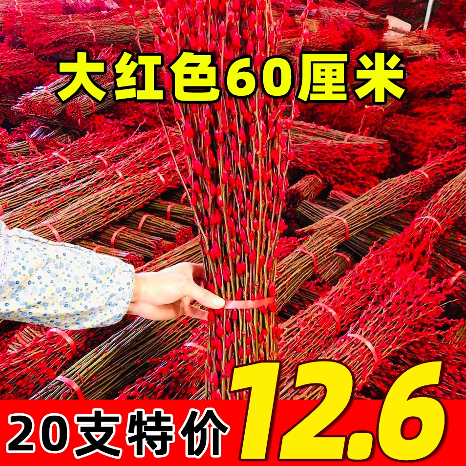 【新疆包邮】鲜枝耐寒银柳年宵花卉水培花卉干枝干花花束小挂件基地