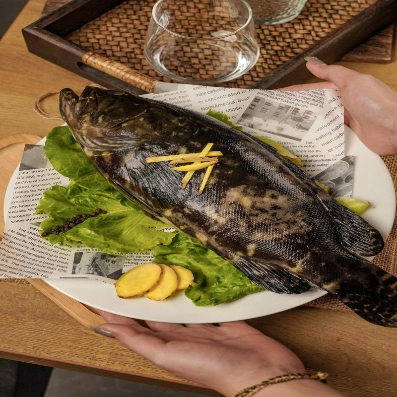 （阿浩）广东湛江本港直发鲜冻石斑鱼三条750-850g/条