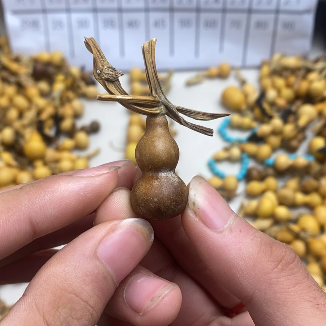 嘿*呵葫芦葫芦葫芦葫芦