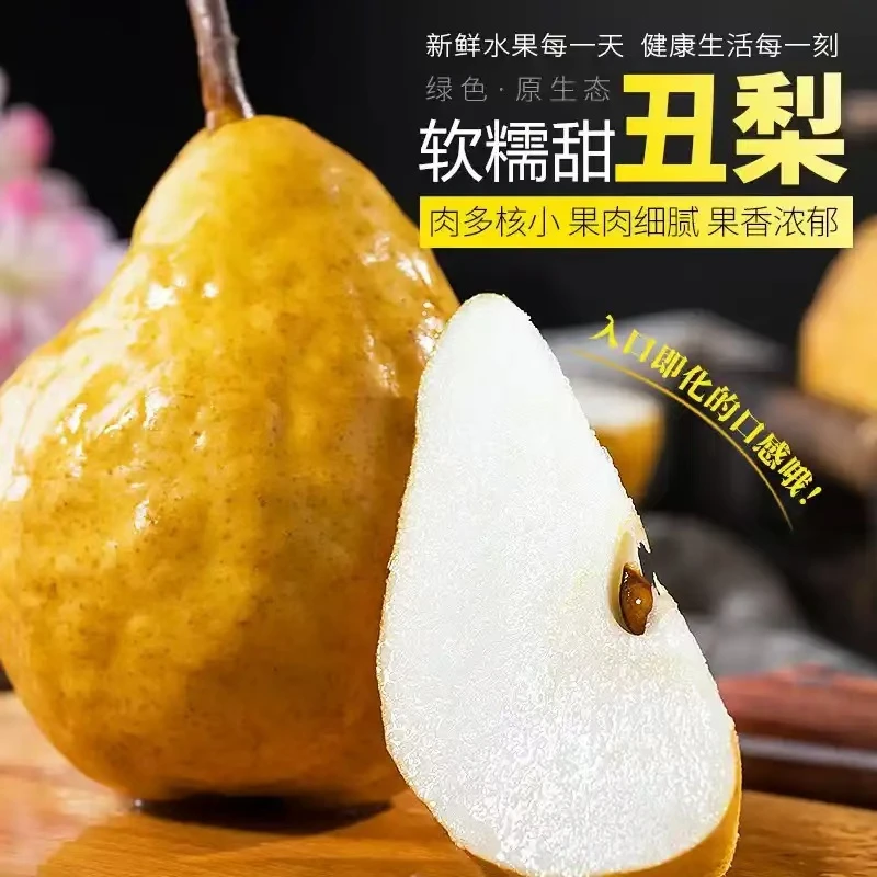 【顺丰包邮】烟台正宗中华丑梨新鲜软糯香甜冰激凌啤梨子放软吃
