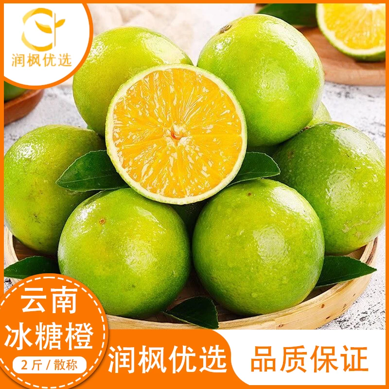 云南冰糖橙 新鲜大果